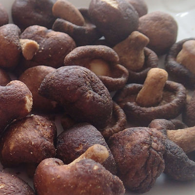 Καλή τιμή Ξηρό μίνι κενό μανιταριών να μην προσθέσουν το χρώμα για τα παιδιά εγκύων γυναικών σε απευθείας σύνδεση