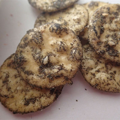 Καλή τιμή Μαύρη κροτίδα ρυζιού σουσαμιού κροτίδων 5kg ρυζιού Senbei γεύσης καλαμποκιού σε απευθείας σύνδεση