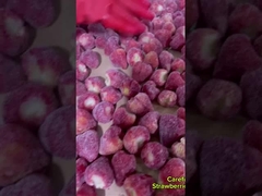 Φρέσκα Συστατικά Κρυσαρό και νόστιμο ψυγείο αποξηραμένες φράουλες